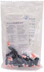 Tetric EvoCeram® Cavifil A2 Dentin (Ivoclar Vivadent)